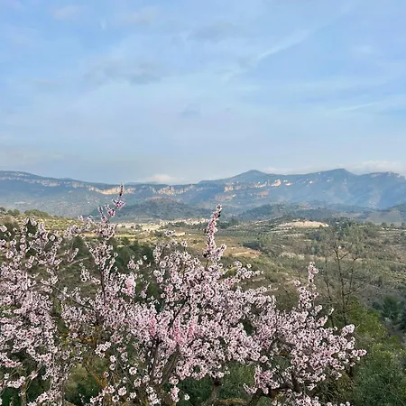 El Xiprer Siurana Cornudella de Montsant